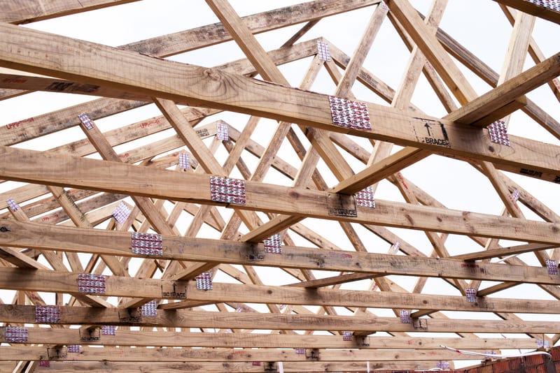 Timber roof trusses with nail plates, braced and set out over a roof.
